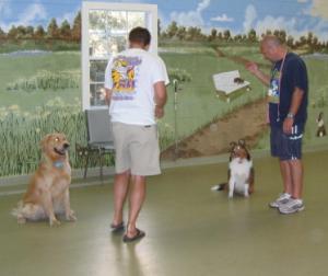 Training tools aren't required in this off-leash class